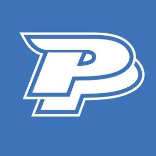 PAINFUL PLEASURES logo